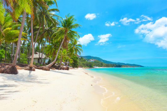 Koh Samui Turu | Elissa Tur